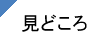 見どころ