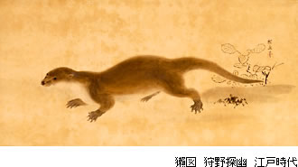獺図 狩野探幽 江戸時代
