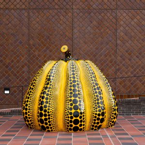 草間彌生《南瓜》1994年　　　　　　　　　　　　　
撮影：山中慎太郎（Qsyum！）
©YAYOI KUSAMA
