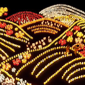 2009年9月コレクション/コネクション展「灯明ウォッチングin福岡市美術館」より