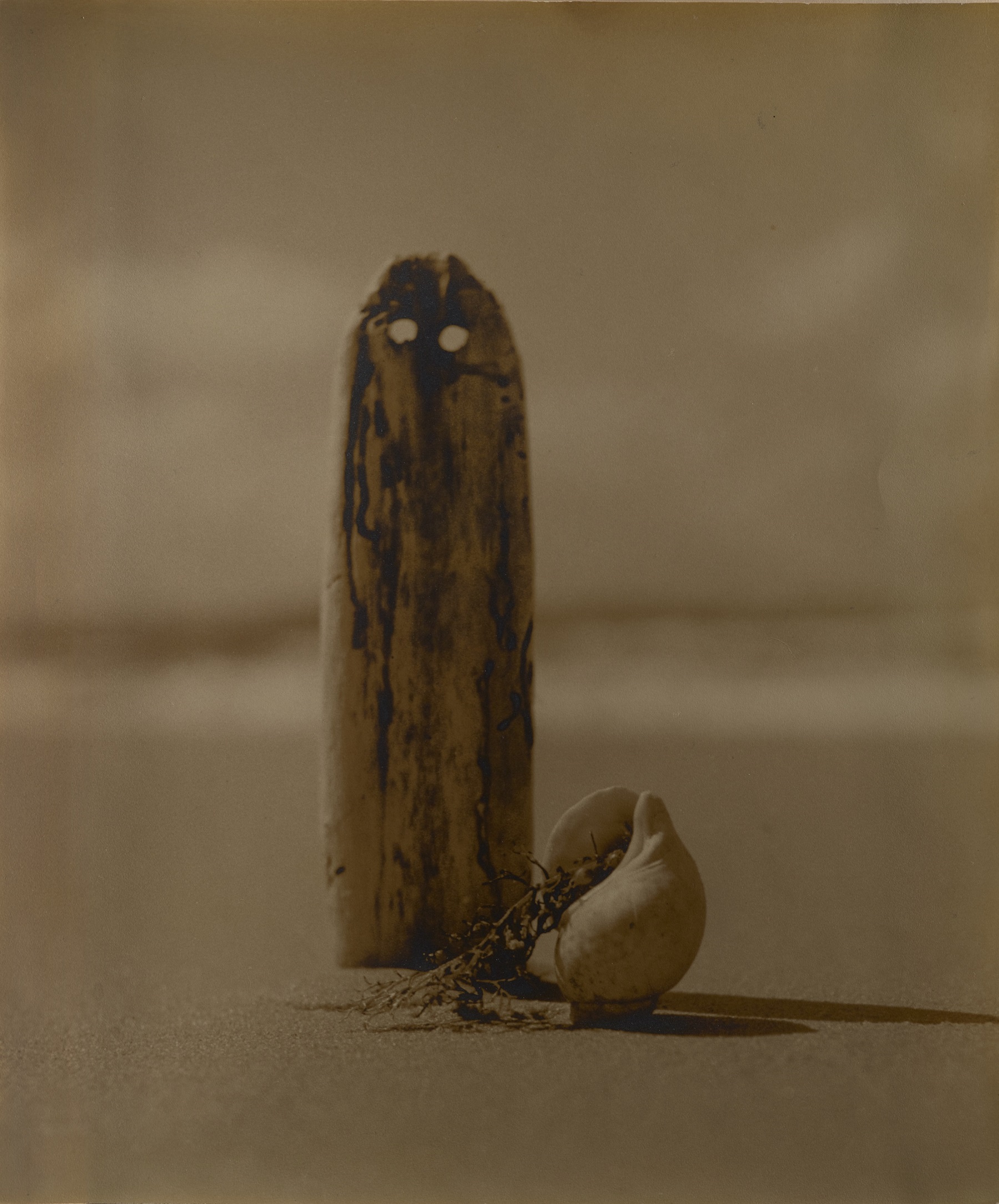許斐儀一郎《 海の墓標》 1939年　個人蔵