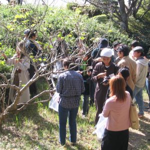 2005年のワークショップのようす