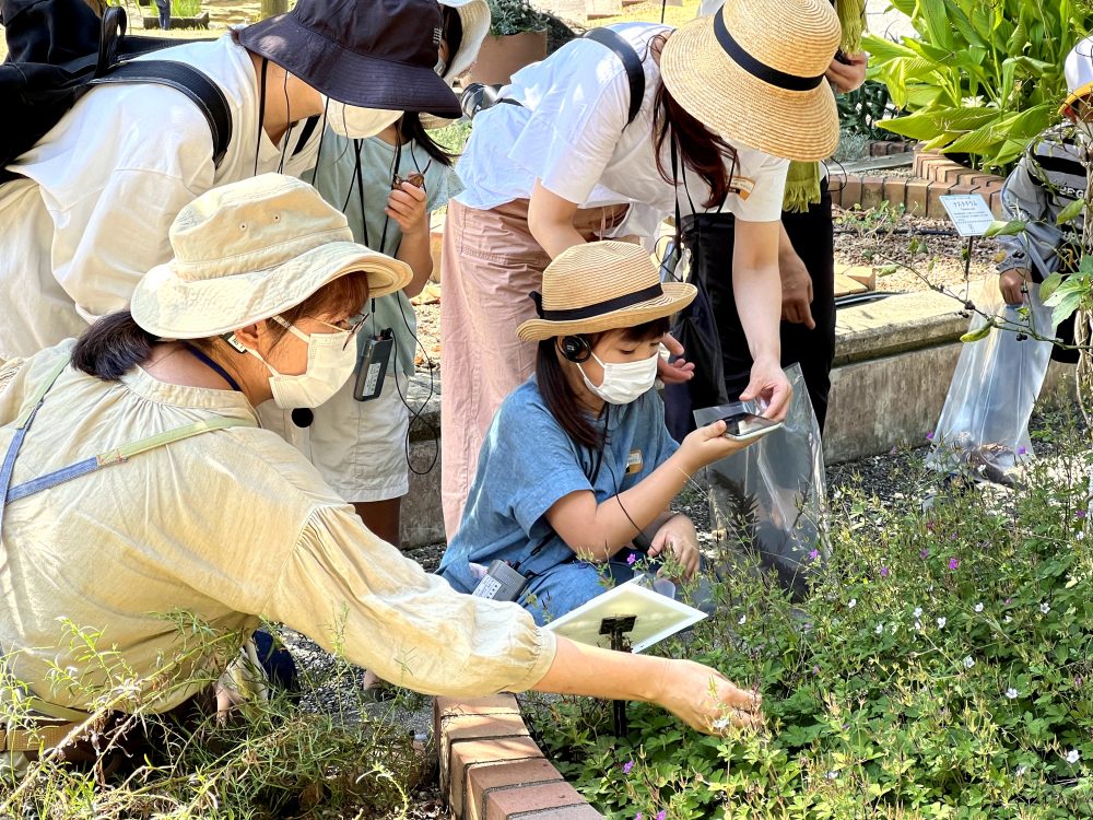 福岡市植物園で行った同ワークショップの様子